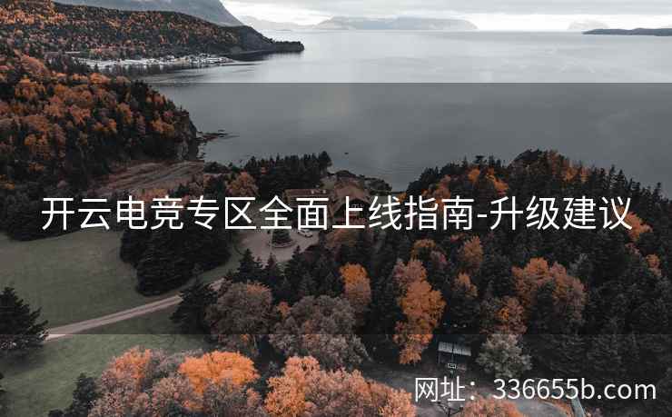 开云电竞专区全面上线指南-升级建议